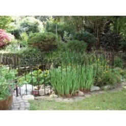 Stalen Staafhek 1 M, Onbehandeld 15 Stalen Staafhek 1 M, Onbehandeld -Tuini Winkel stalen staafhek 1 m 5