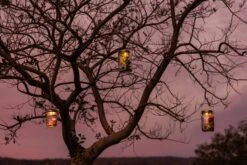 Tafellamp Sonnenglas® 36 Tafellamp Sonnenglas® -Tuini Winkel tafellamp sonnenglas 16