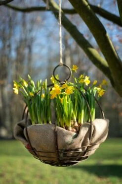 Tuinbal Om Op Te Hangen -Tuini Winkel tuinbal hangen 2