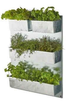 Verticale Tuin Staal Verzinkt 7 Verticale Tuin Staal Verzinkt -Tuini Winkel verticale tuin staal verzinkt 3