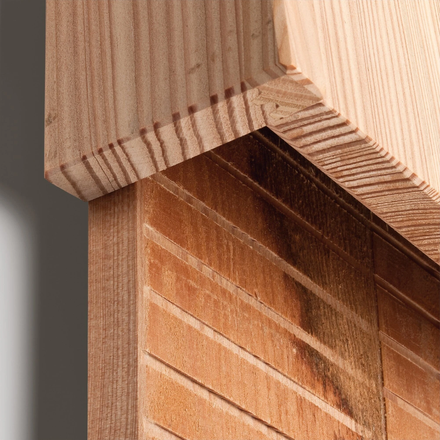 Vleermuisnest Larikshout 2 Vleermuisnest Larikshout - Afbeelding 2