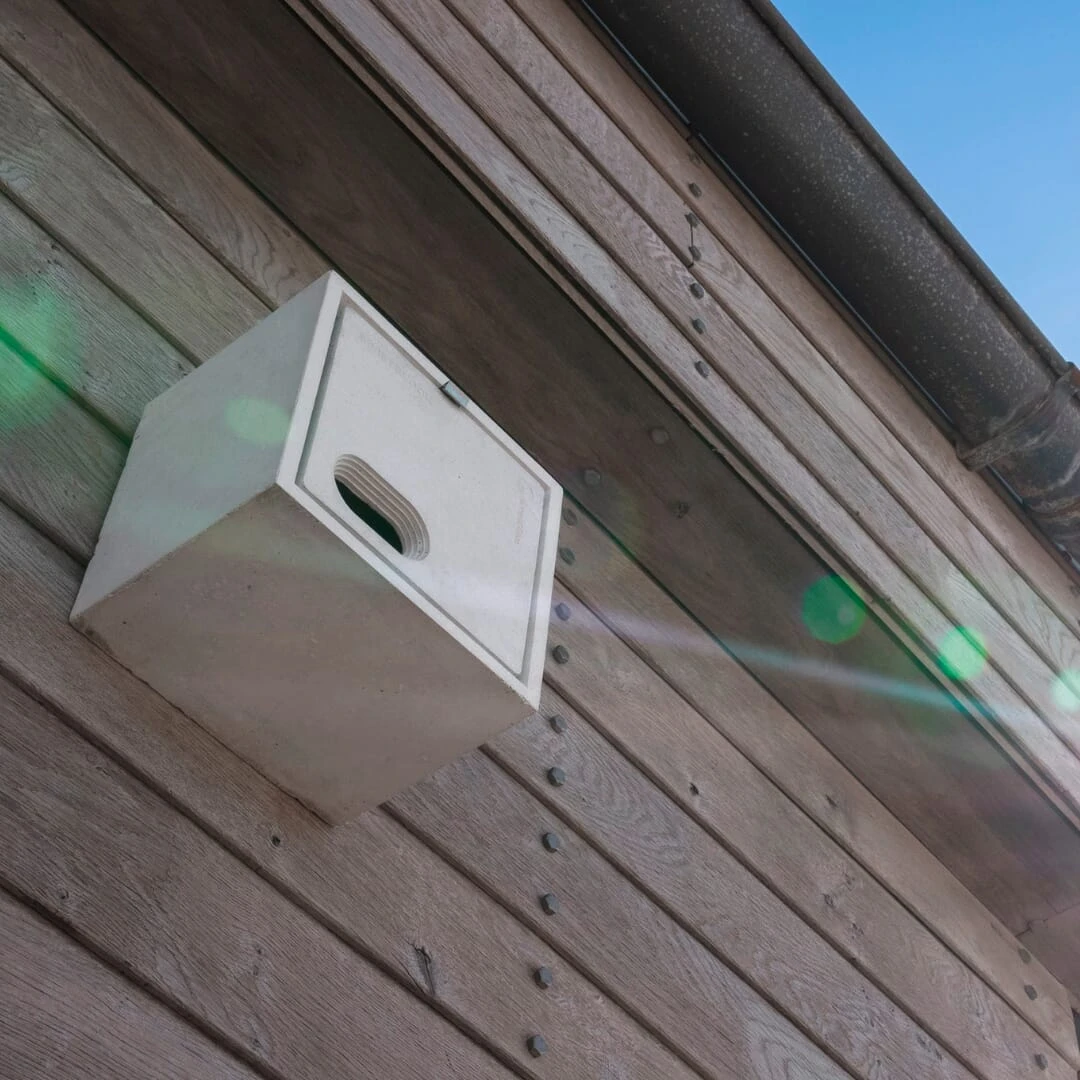 Vogelnestkast Beton, Zwaluw 6 Vogelnestkast Beton, Zwaluw - Afbeelding 6