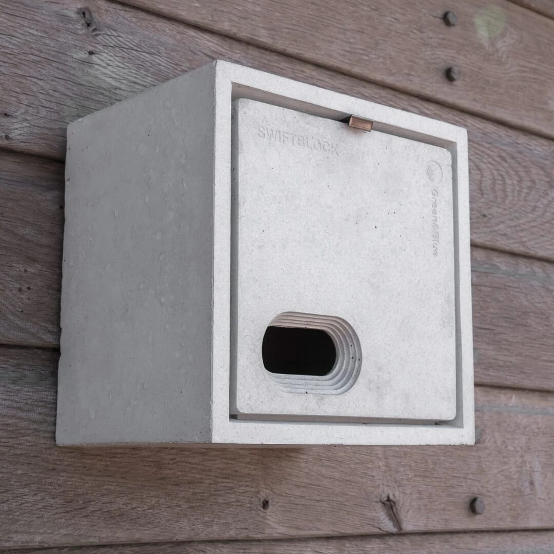 Vogelnestkast Beton, Zwaluw 7 Vogelnestkast Beton, Zwaluw - Afbeelding 7