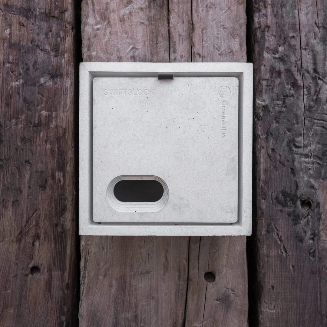 Vogelnestkast Beton, Zwaluw 8 Vogelnestkast Beton, Zwaluw - Afbeelding 8