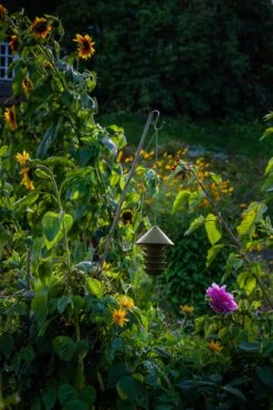 Vogelvoederhuisje Vogelsilo, Groen -Tuini Winkel vogelvoederhuisje vogelsilo 5