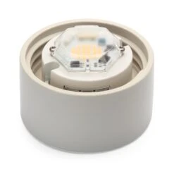 Wand- En Plafondlamp Cilinder LED, Een, Wit / Mat -Tuini Winkel wand plafondlamp cilinder led 2