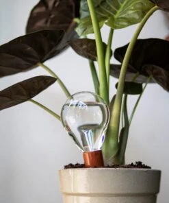 Watergeefbal Voor Potplanten -Tuini Winkel watergeefbal potplanten 3