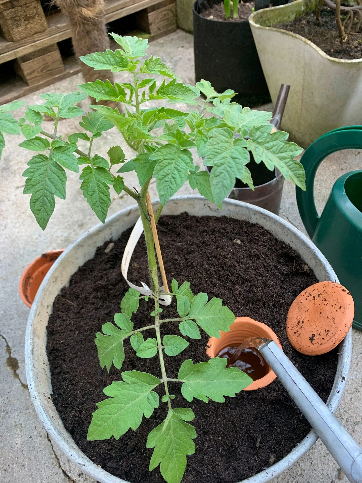 Watergeefpot Voor Plantenbakken 4 Watergeefpot Voor Plantenbakken - Afbeelding 4