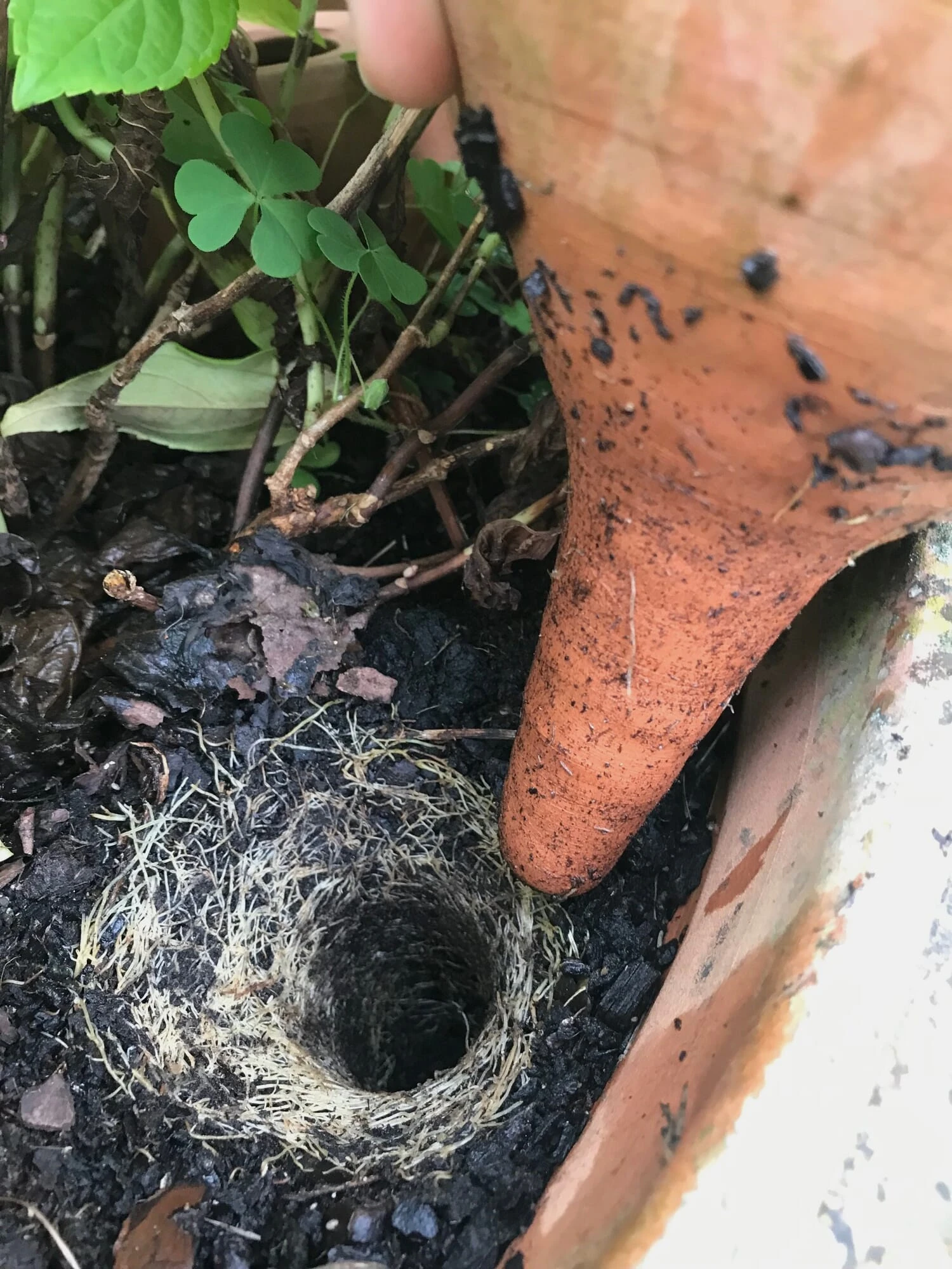 Waterpot Om Te Pluggen 3 Waterpot Om Te Pluggen - Afbeelding 3