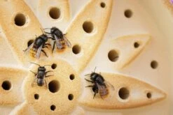 Wilde Bijenhuis Keramiek 10 Wilde Bijenhuis Keramiek -Tuini Winkel wilde bijenhuis keramiek 2