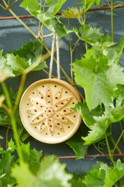 Wilde Bijenhuis Keramiek 11 Wilde Bijenhuis Keramiek -Tuini Winkel wilde bijenhuis keramiek 3