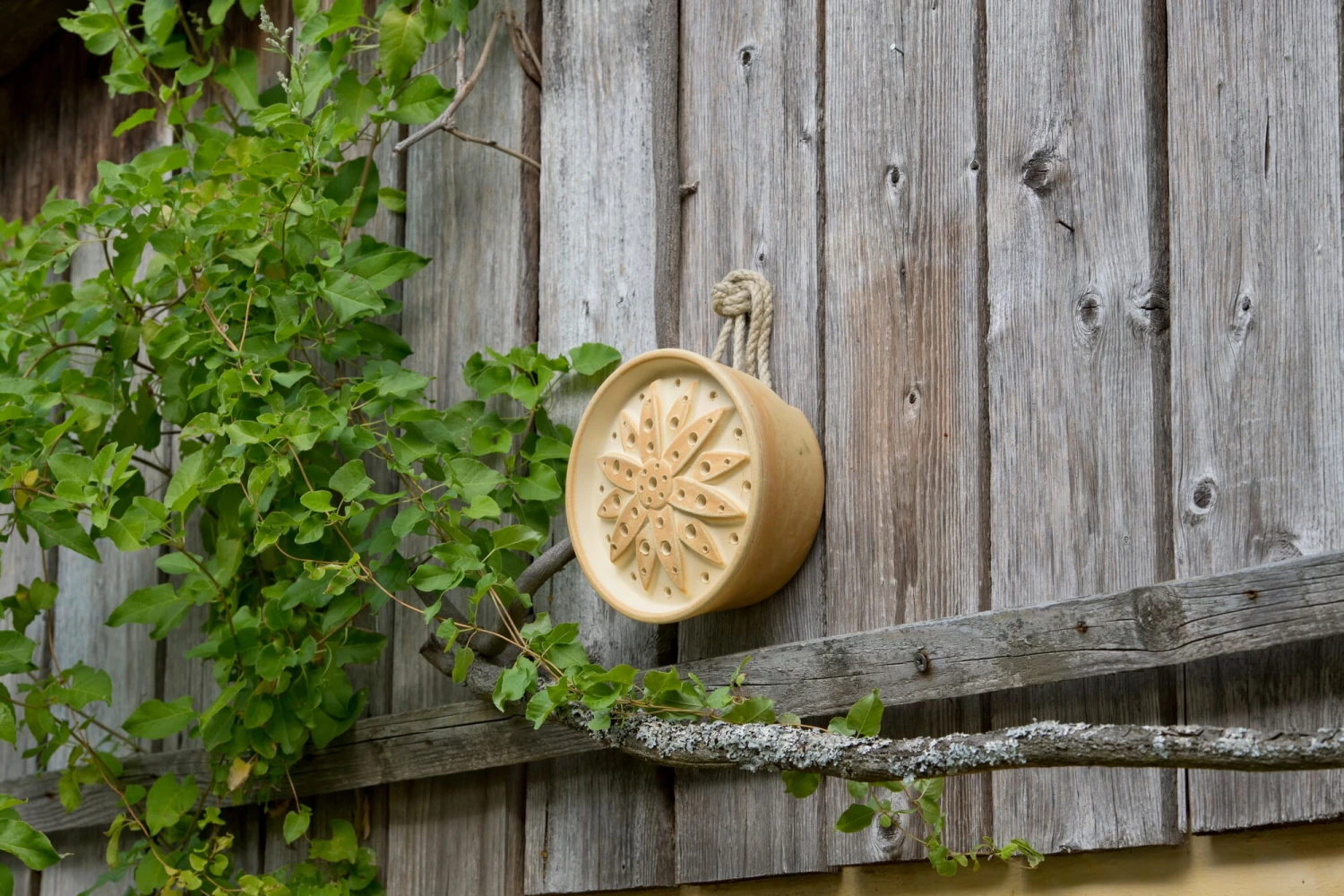 Wilde Bijenhuis Keramiek 5 Wilde Bijenhuis Keramiek - Afbeelding 5