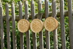 Wilde Bijenhuis Keramiek 13 Wilde Bijenhuis Keramiek -Tuini Winkel wilde bijenhuis keramiek 5