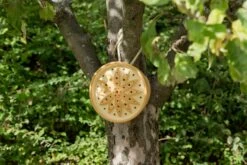 Wilde Bijenhuis Keramiek 14 Wilde Bijenhuis Keramiek -Tuini Winkel wilde bijenhuis keramiek 6