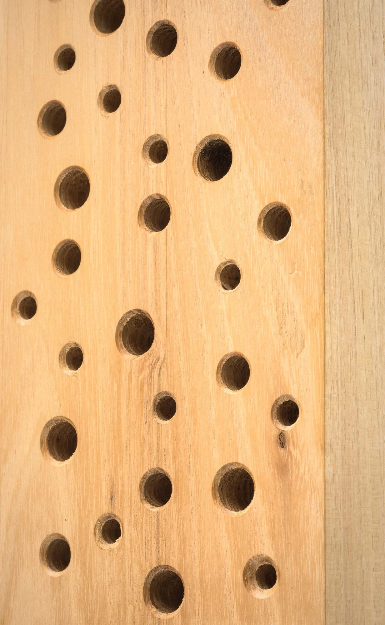 Wilde Bijenhuis Robinia Hout 2 Wilde Bijenhuis Robinia Hout - Afbeelding 2