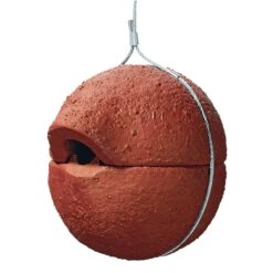 Winterkoninkje Nestbal