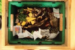 Wormendoos Larikshout Kit 7 Wormendoos Larikshout Kit -Tuini Winkel wormendoos larikshout kit 3