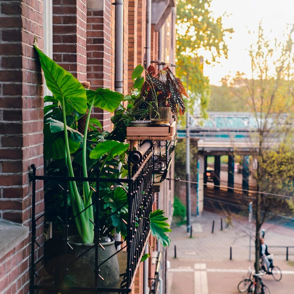 Zijdelen Voor Balkonplank Bamboe 5 Zijdelen Voor Balkonplank Bamboe - Afbeelding 5