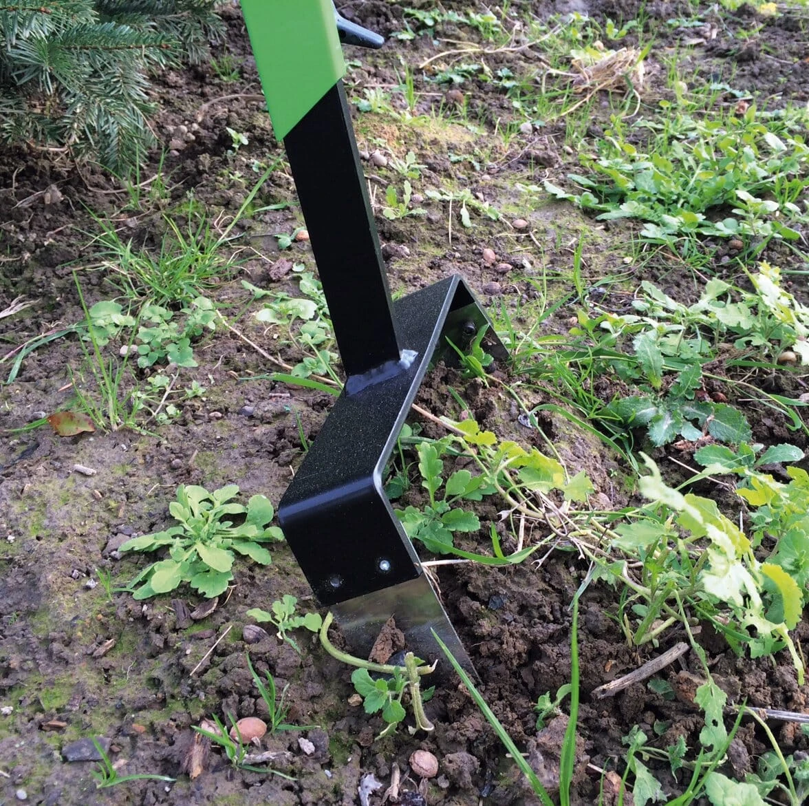 Zweedse Wielhakselaar 4 Zweedse Wielhakselaar - Afbeelding 4